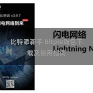 比特派新手 Bitpie钱包下载及使用指南