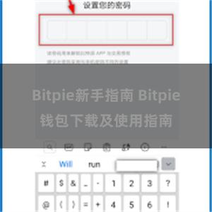 Bitpie新手指南 Bitpie钱包下载及使用指南