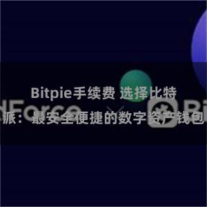 Bitpie手续费 选择比特派：最安全便捷的数字资产钱包