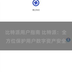 比特派用户指南 比特派：全方位保护用户数字资产安全