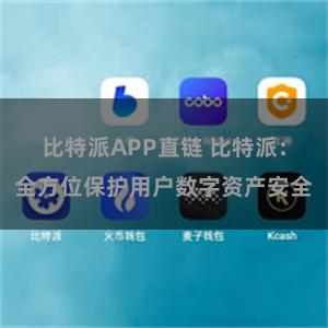 比特派APP直链 比特派:全方位保护用户数字资产安全