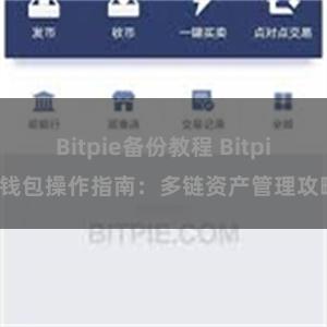 Bitpie备份教程 Bitpie钱包操作指南:多链资产管理攻略