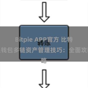Bitpie APP官方 比特派钱包多链资产管理技巧:全面攻略