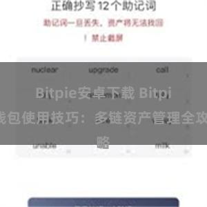 Bitpie安卓下载 Bitpie钱包使用技巧:多链资产管理全攻略