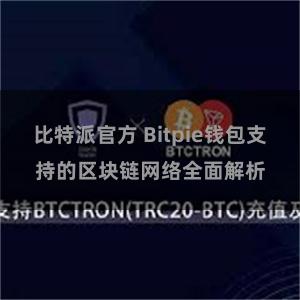 比特派官方 Bitpie钱包支持的区块链网络全面解析