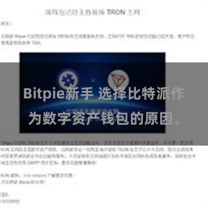 Bitpie新手 选择比特派作为数字资产钱包的原因。