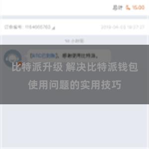 比特派升级 解决比特派钱包使用问题的实用技巧