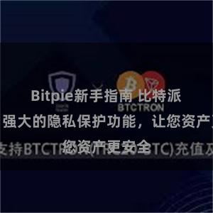 Bitpie新手指南 比特派钱包:强大的隐私保护功能,让您资产更安全
