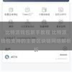 比特派钱包新手教程 比特派钱包支持的主要区块链网络解析