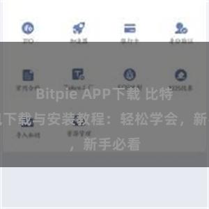 Bitpie APP下载 比特派钱包下载与安装教程：轻松学会，新手必看