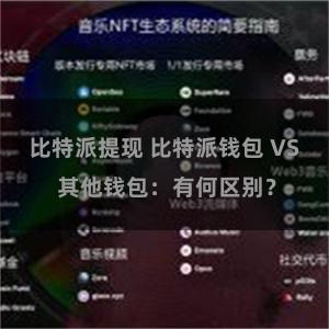 比特派提现 比特派钱包 VS 其他钱包:有何区别?