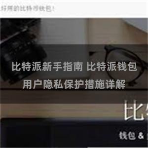 比特派新手指南 比特派钱包用户隐私保护措施详解