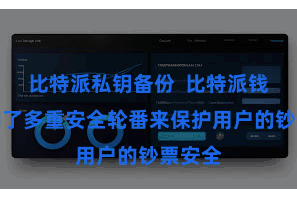 比特派私钥备份  比特派钱包采纳了多重安全轮番来保护用户的钞票安全