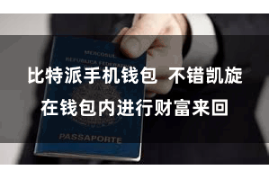 比特派手机钱包  不错凯旋在钱包内进行财富来回