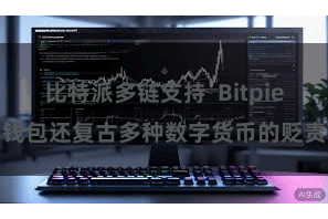 比特派多链支持  Bitpie钱包还复古多种数字货币的贬责